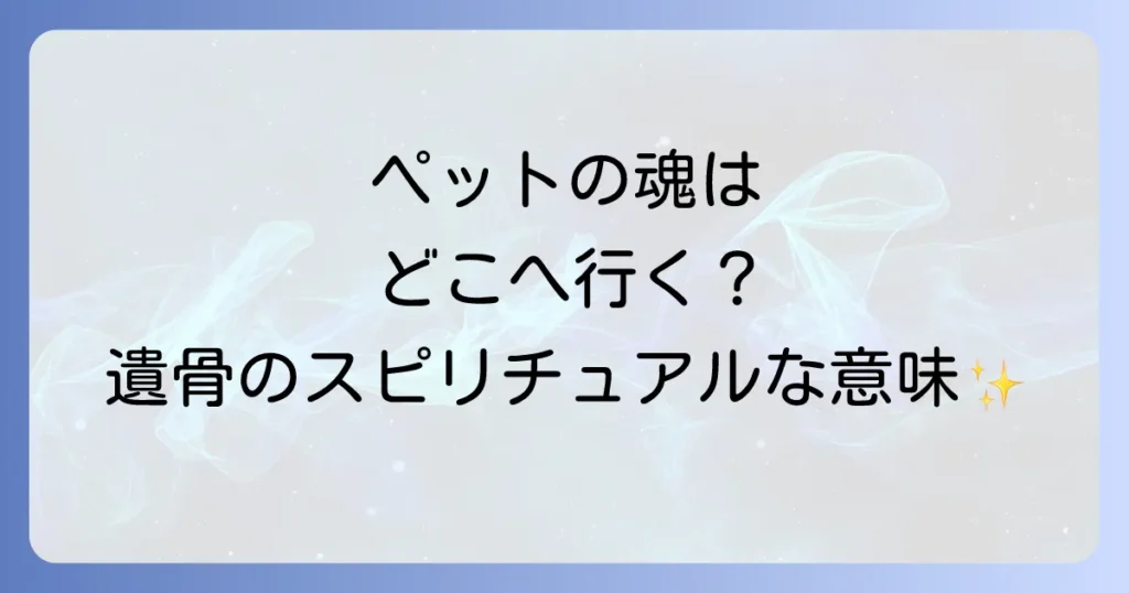 ペットの遺骨のスピリチュアルな意味とは？魂の行方と後悔しない供養方法を徹底解説