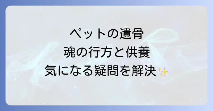 ペットの遺骨に関するスピリチュアルな疑問を解決