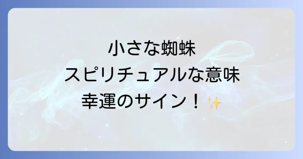 小さな蜘蛛のスピリチュアルな意味を徹底解説！幸運のサインと時間帯・場所別のメッセージ