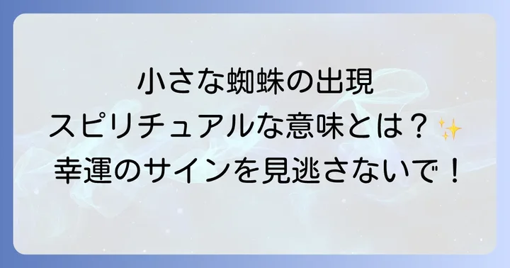 小さな蜘蛛が持つスピリチュアルな基本的な意味