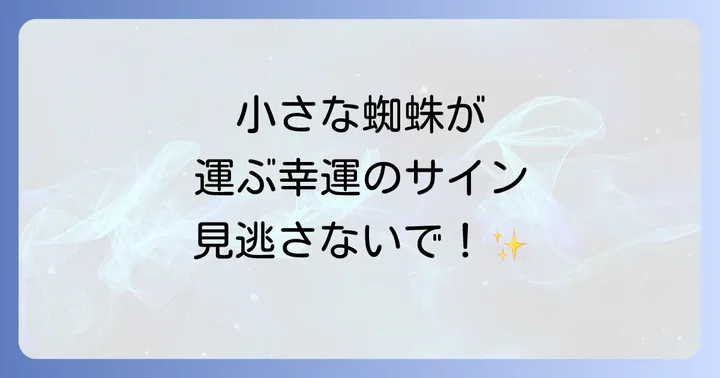 小さな蜘蛛が伝える運気別のメッセージ
