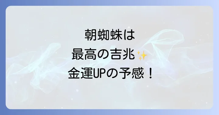 小さな蜘蛛を見る時間帯別のスピリチュアルな意味