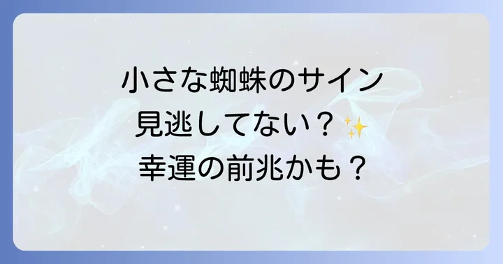 小さな蜘蛛を見る場所別のスピリチュアルな意味