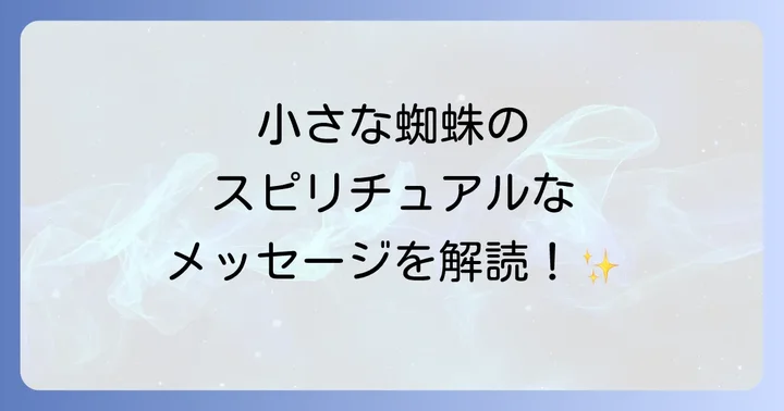 小さな蜘蛛のスピリチュアルなメッセージを活かす方法