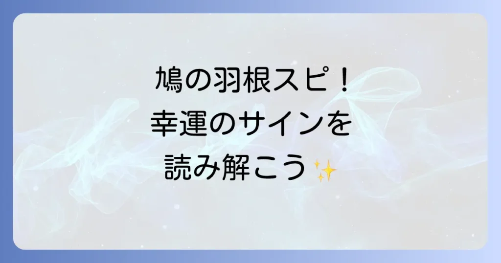 鳩の羽根のスピリチュアルな意味を徹底解説！幸運のサインとメッセージを読み解く