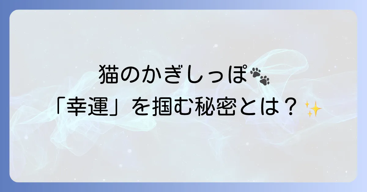猫のしっぽのスピリチュアルを徹底解説！幸運を招く猫の神秘的な意味