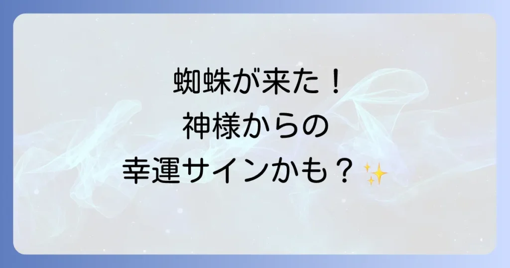 蜘蛛が寄ってくる理由とスピリチュアルな意味とは?幸運の使者からのメッセージを徹底解説