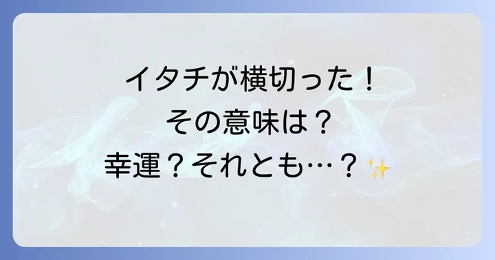 イタチが横切るスピリチュアルな意味とは？全体像を理解する