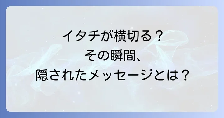 状況別！イタチが横切るスピリチュアルなメッセージを読み解く