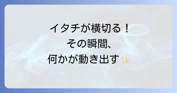 イタチが横切るスピリチュアルなメッセージを活かすコツ