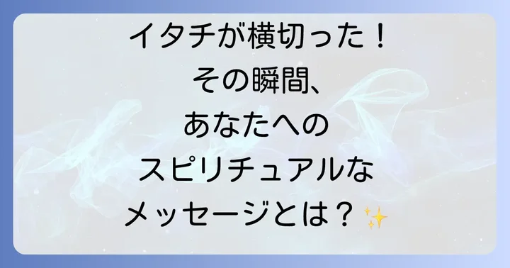 イタチ遭遇時に注意すべき現実的な側面