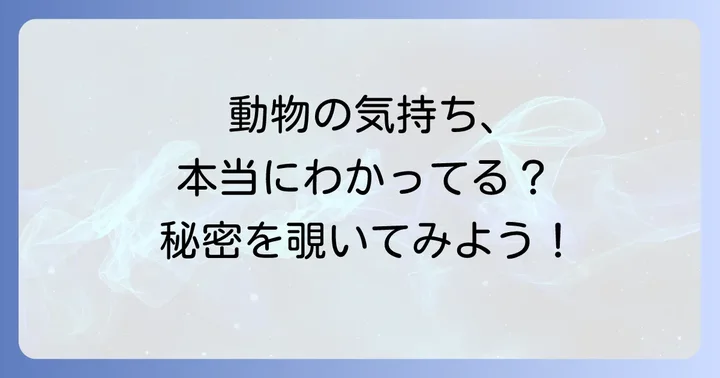 動物と話せるスピリチュアルに関するよくある疑問を解決