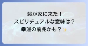 蛾が家に入ってきたスピリチュアルな意味を徹底解説！幸運の前兆と魂のメッセージ