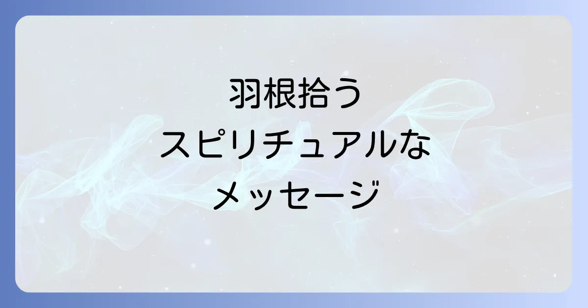 鳥の羽根を拾うスピリチュアルな意味とは？色や状況別のメッセージと注意点を徹底解説