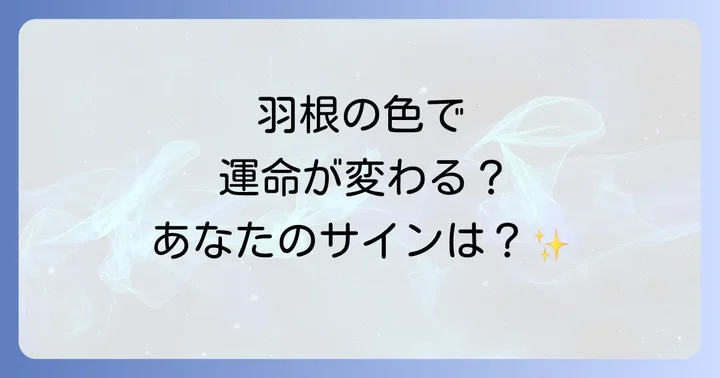 【状況別】鳥の羽根が示すスピリチュアルなサイン