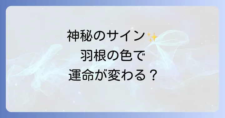 【鳥の種類別】羽根が持つスピリチュアルな意味