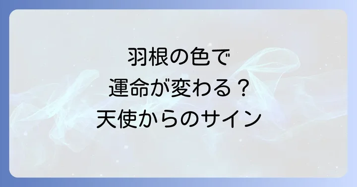 鳥の羽根を拾う際の注意点