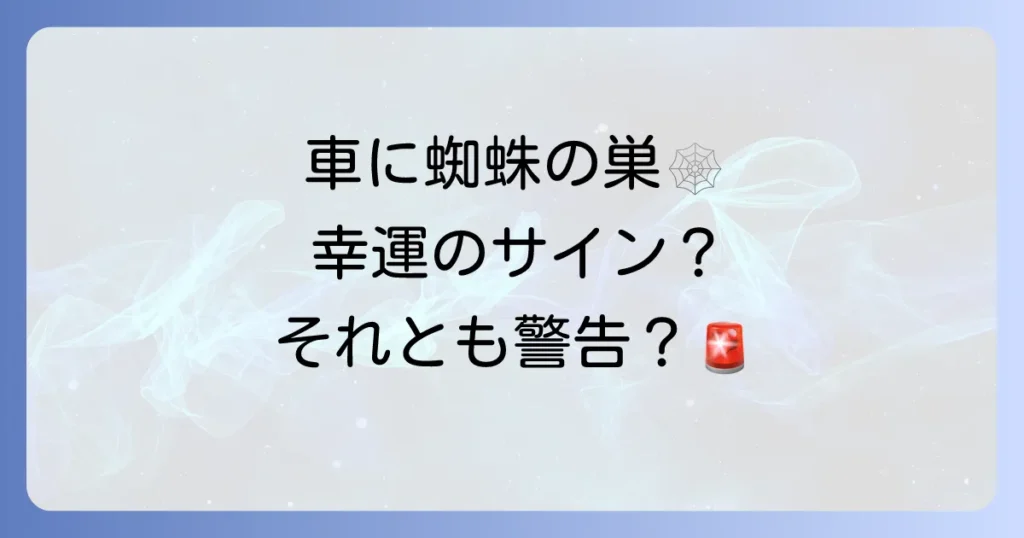 車に蜘蛛の巣スピリチュアルな意味とは？幸運のサインか警告か徹底解説！