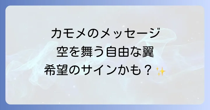 カモメの行動や状況が示すスピリチュアルメッセージ