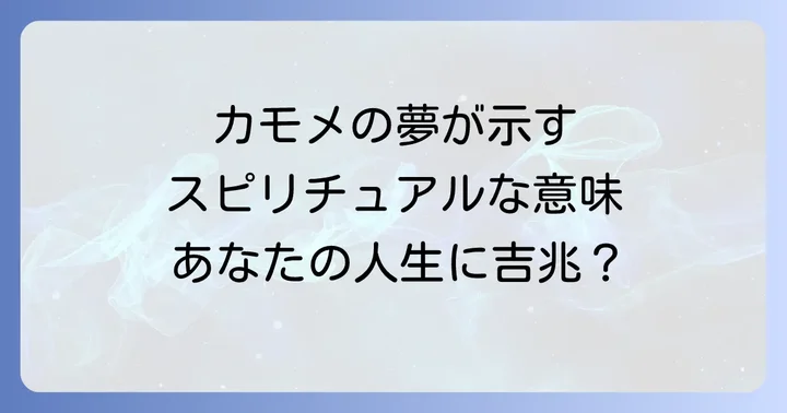 カモメの夢が示すスピリチュアルな意味
