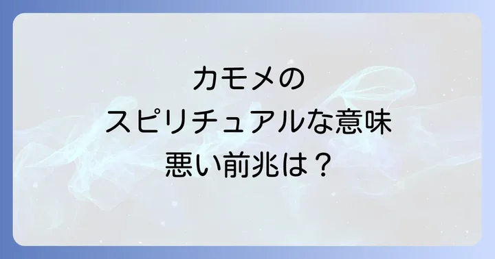 カモメのスピリチュアルな意味における注意点と悪い前兆