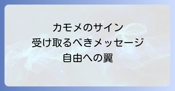 カモメのスピリチュアルな力を高めるアイテム