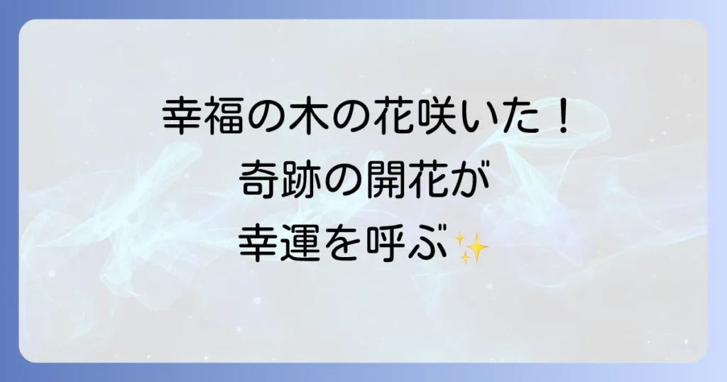 幸福の木の花のスピリチュアルな意味とは？開花がもたらす奇跡と幸運を徹底解説