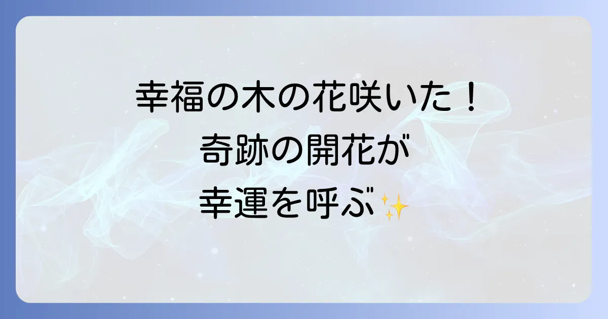 幸福の木の花のスピリチュアルな意味とは?開花がもたらす奇跡と幸運を徹底解説
