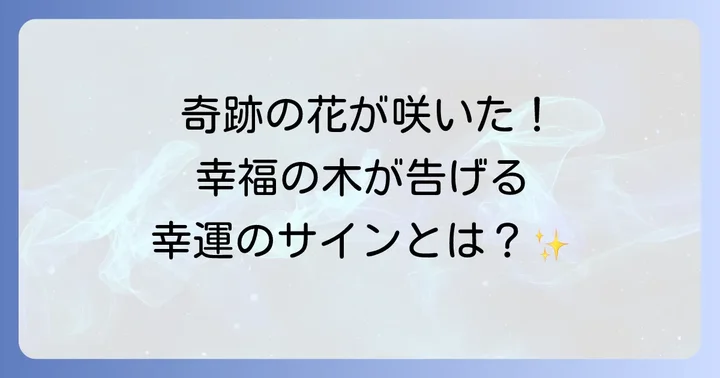 幸福の木の花が持つスピリチュアルな効果と縁起
