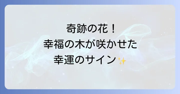 幸福の木の花が咲かないのは悪いこと?よくある疑問を解決