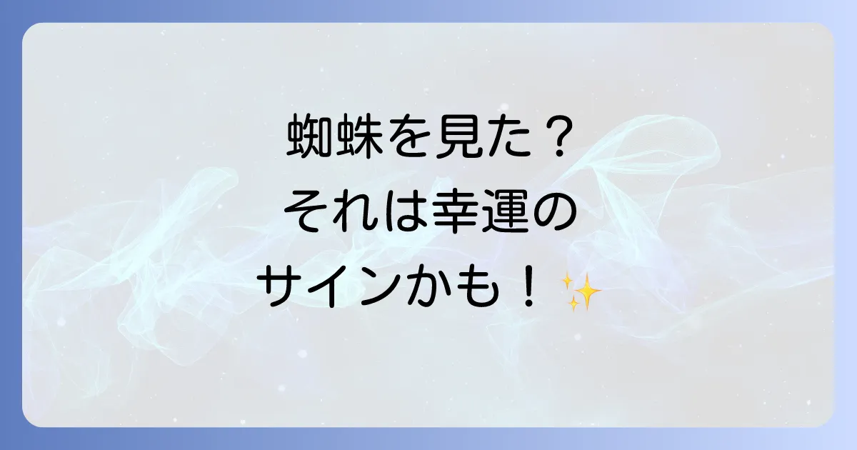 部屋に蜘蛛のスピリチュアルな意味とは?幸運のメッセージを時間帯・場所別に徹底解説