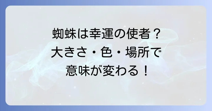 部屋にいる蜘蛛の大きさや色別のスピリチュアルな意味