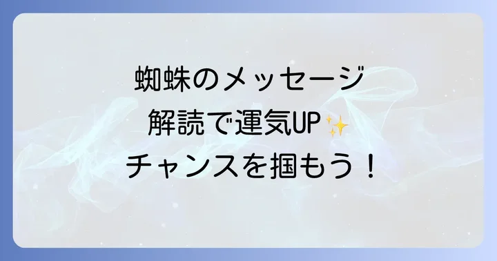 部屋の場所別に読み解く蜘蛛のスピリチュアルなメッセージ