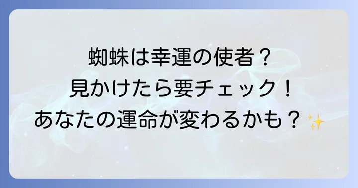 部屋に蜘蛛が頻繁に出るスピリチュアルな意味と幸運を引き寄せる方法