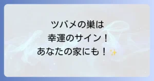 ツバメの巣のスピリチュアルな意味を徹底解説！幸運を呼ぶ吉兆とメッセージ