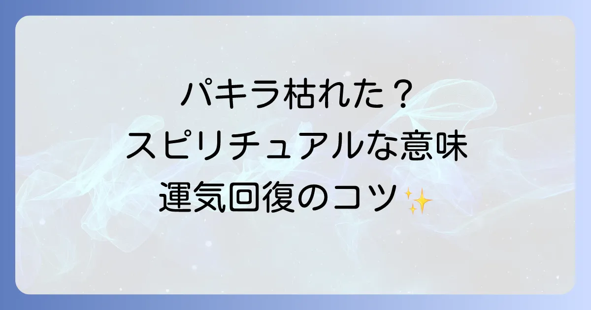 パキラが枯れるスピリチュアルな意味とは?運気回復と再生のコツを徹底解説