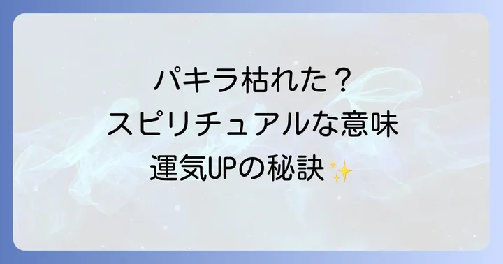 パキラが枯れるスピリチュアルな意味を徹底解明