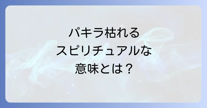 スピリチュアルな観点からパキラを枯らさないための対策