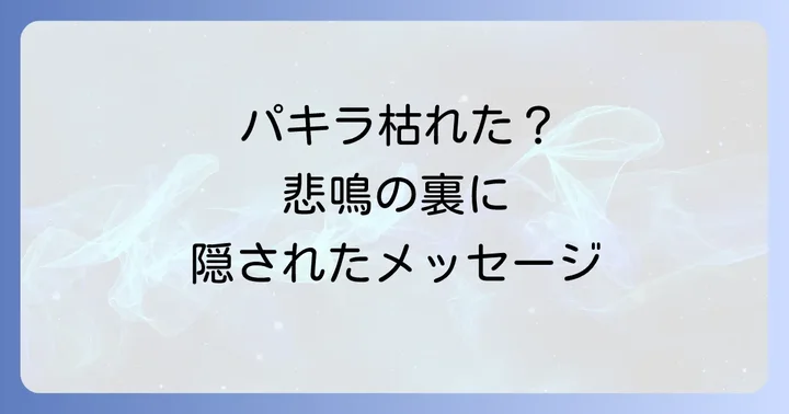 枯れてしまったパキラのスピリチュアルな対処法と再生の道