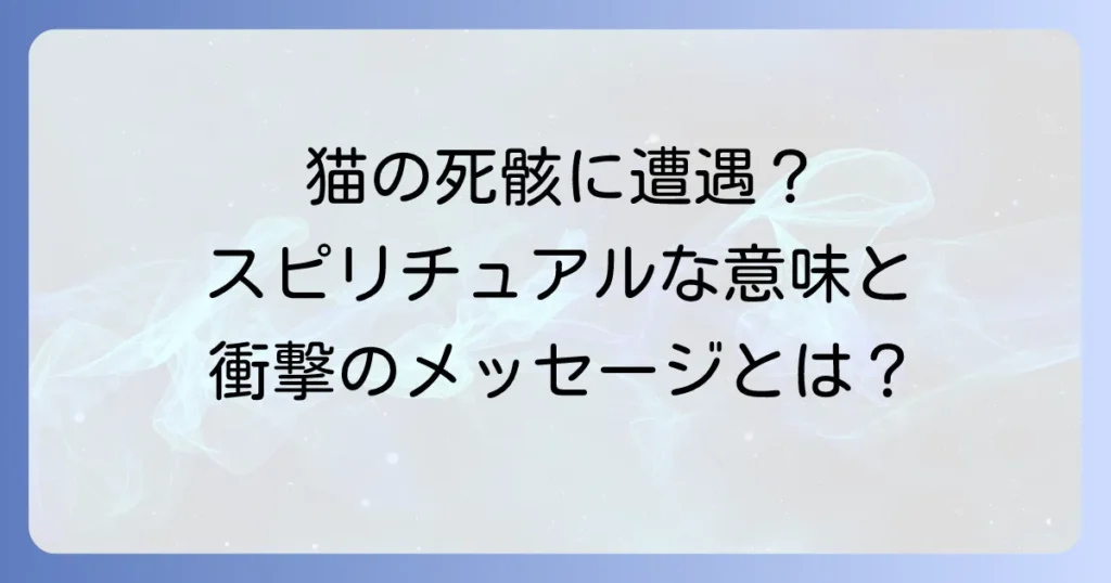 道路で猫の死骸を見たら？スピリチュアルな意味と適切な対処法を徹底解説