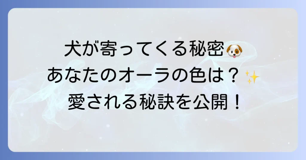 犬が寄ってくる人のスピリチュアルな特徴と愛されるオーラ！波動を高める方法を徹底解説