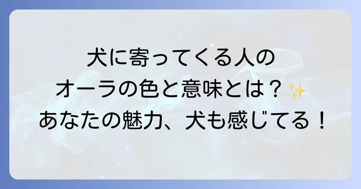 犬が寄ってくる人が持つ愛されるオーラの色とその意味