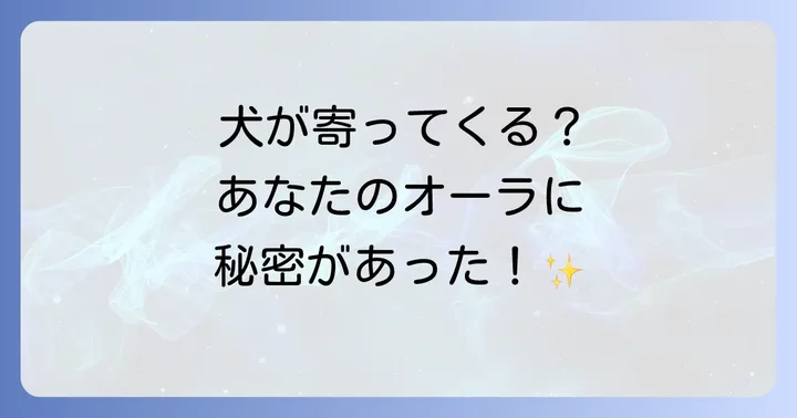 犬があなたに寄ってくるスピリチュアルなメッセージ