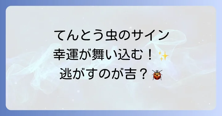 シチュエーション別！てんとう虫からのスピリチュアルメッセージ