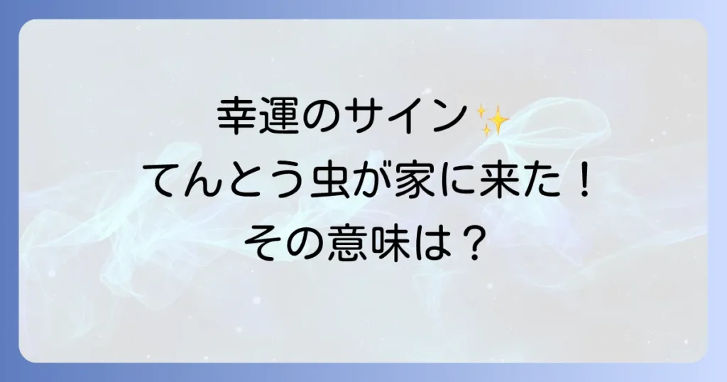 てんとう虫が家の中にいるスピリチュアルな意味を徹底解説！幸運を呼ぶ虫からのメッセージ