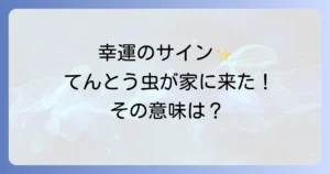 てんとう虫が家の中にいるスピリチュアルな意味を徹底解説!幸運を呼ぶ虫からのメッセージ