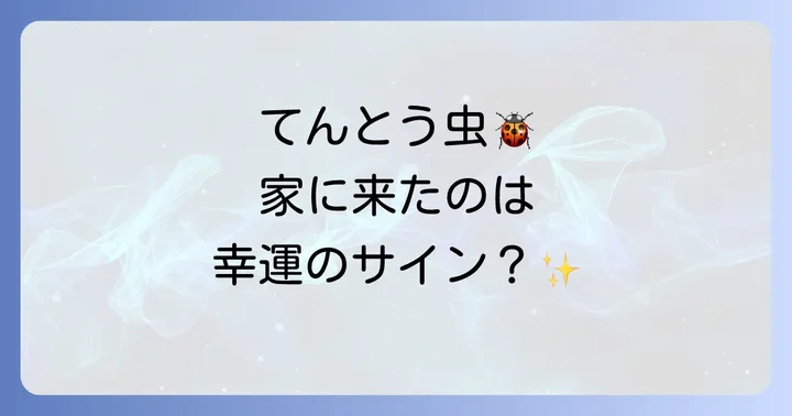 てんとう虫が家の中に現れた時に取るべき行動