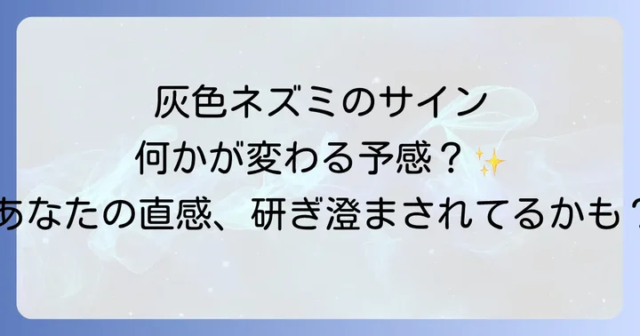 状況別!灰色ネズミが伝えるスピリチュアルメッセージ
