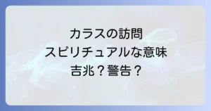 カラスのベランダでのスピリチュアルな意味とは？吉兆と警告のメッセージを徹底解説