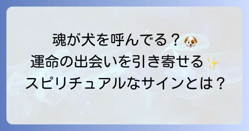 犬が欲しくなるスピリチュアルな理由とは?魂の繋がりと運命の出会いを徹底解説